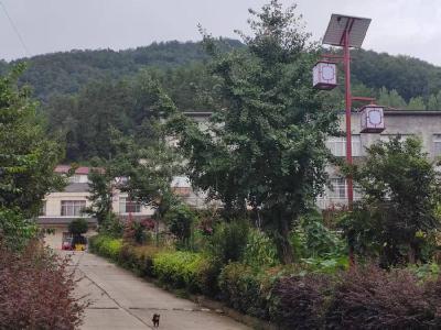 襄阳谷城：26盏灯亮了！赵湾乡山道新装“护航灯”守护晚归人 