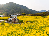 谷城：青山甘泉 水岸雨坪