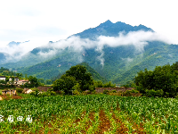 谷城：青山甘泉 水岸雨坪