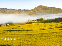 谷城：青山甘泉 水岸雨坪