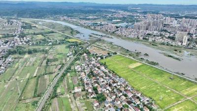 襄阳谷城：秋雨润田畴 绘就丰收图 