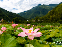 谷城：青山甘泉 水岸雨坪
