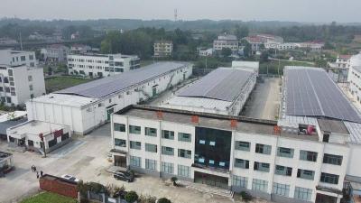 襄阳谷城：秋粮入库进行时 粮食仓储“智”提升 