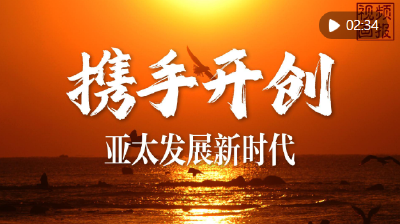 视频画报｜携手开创亚太发展新时代