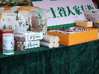 “樱花谷韵·唱响谷城”谷城县首届全民歌唱大赛决赛