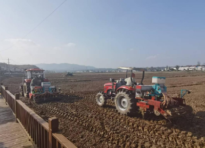 襄阳谷城：不负农时不负秋！“订单+科技”守稳“油瓶子” 