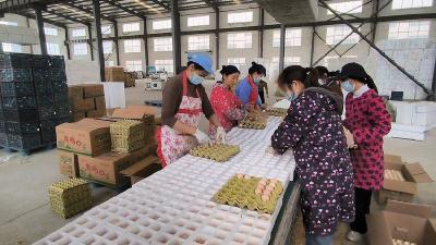 从“卖难”到热销！谷城电商破局鸡蛋滞销难题 