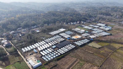 襄阳谷城｜田纪昌：脱下军装不改本色 扎根乡土种出“致富菇”