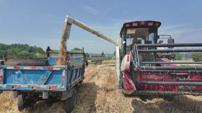 襄阳谷城：创新农业社会化服务 托起乡村振兴新希望