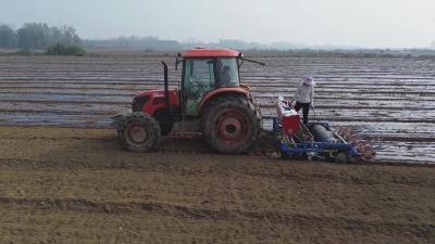 襄阳谷城：订单农业+技术革新让油菜种植“钱”景无忧 