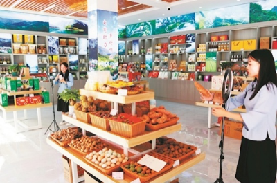 网络主播有保障 直播带货流量大——谷城县促进网络直播人才健康成长赋能乡村振兴 