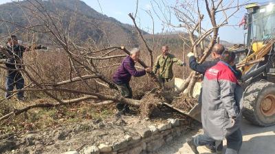 襄阳谷城：樱桃树种出新希望