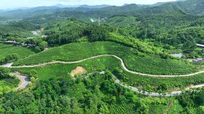 襄阳谷城非遗新生记：看鄂西北小城如何用千年技艺叩开乡村振兴之门