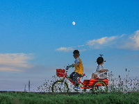 谷城县“和美乡村”摄影大赛作品展