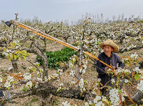 谷城县“和美乡村”摄影大赛作品展