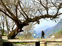 谷城县“和美乡村”摄影大赛作品展