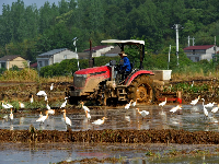谷城县“和美乡村”摄影大赛作品展
