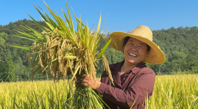 襄阳谷城：破译千年农耕密码 非遗“老味道”闯出新赛道