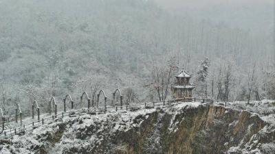 襄阳谷城：傲雪红梅入画来 樱花谷秒变“冬日仙境” 