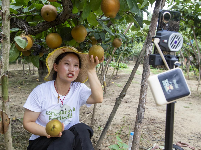 谷城县“和美乡村”摄影大赛作品展