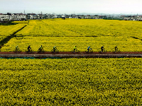 谷城县“和美乡村”摄影大赛作品展