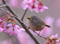谷城县“和美乡村”摄影大赛作品展