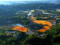 谷城县“和美乡村”摄影大赛作品展