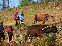 谷城县“和美乡村”摄影大赛作品展