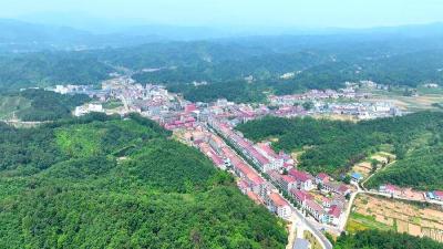 襄阳谷城：乡村振兴“堰河引领” 联片共进激活田园新动能 