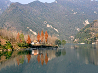 谷城县“和美乡村”摄影大赛作品展