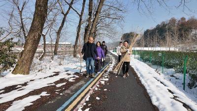 打响雪后茶果保卫战！襄阳市农科院专家一线“把脉开方” 