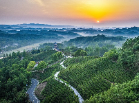 谷城县“和美乡村”摄影大赛作品展