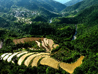 谷城县“和美乡村”摄影大赛作品展