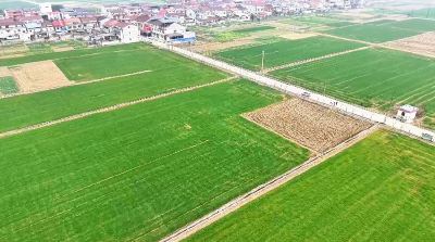 为麦苗“定制冬装” 谷城盛康镇“一田一策”助2万亩小麦安全越冬