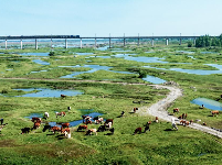 谷城县“和美乡村”摄影大赛作品展
