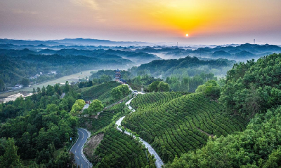 两座山，一条路！“闵黑子”的二十年“共富”笔记