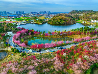 谷城县“和美乡村”摄影大赛作品展