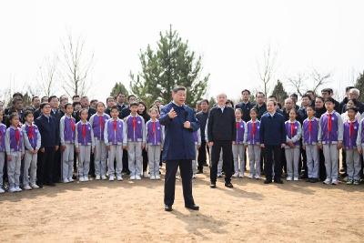 时政微观察丨草木植成，国之富也 