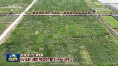 假日坚守平凡岗位 实干开创美好未来