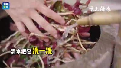 鱼腥草，生长在保康山野里的美味！