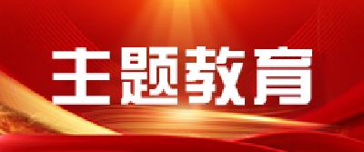 学习贯彻习近平新时代中国特色社会主义思想主题教育官网正式上线