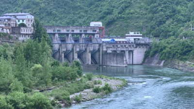 防汛抗旱进行时丨打好“主动仗”，筑牢“安全堤”！过渡湾镇未雨绸缪防大汛