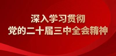 一图看懂三中全会对进一步全面深化改革的系统部署