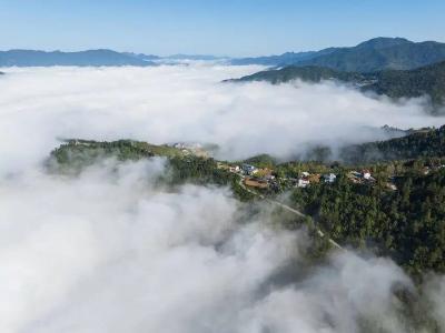 秋山诗意浓，云海似仙境！保康官山，秋日赏景正当时……