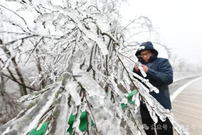 玉树琼枝，美轮美奂！保康迎来今冬首场降雪