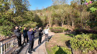 追逐鸟儿踪迹，捧红一批“明星”！荆山观鸟队，运用镜头发现美…… 