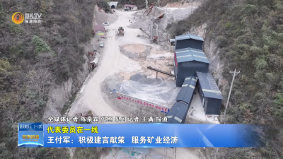 【代表委员在一线】王付军：积极建言献策  服务矿业经济