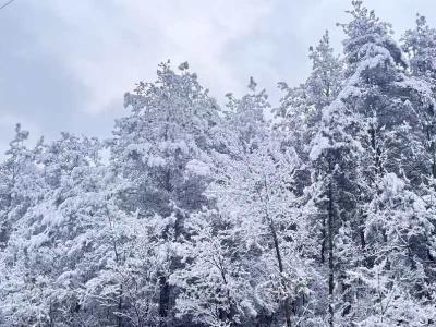 湖北保康：雪落荆山诗意浓