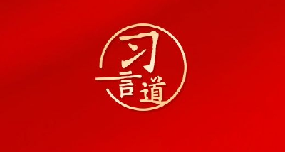 习言道｜把中央八项规定作为铁规矩、硬杠杠