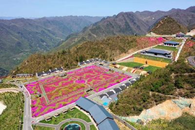 来自楚源保康的邀约丨赏花海、逛市集、品美食！“五一”假期来保康，“沉浸式”体验别样浪漫 